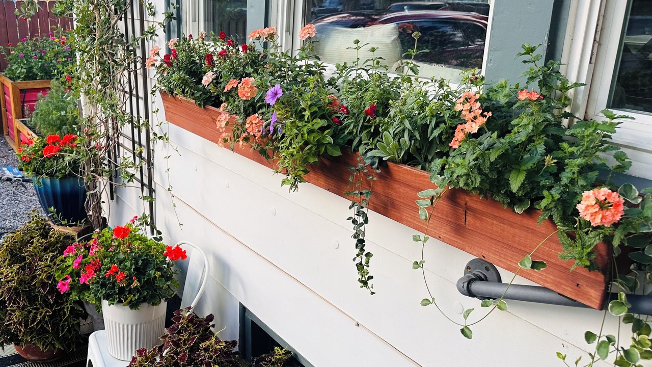 Photo of Outdoor in Delta