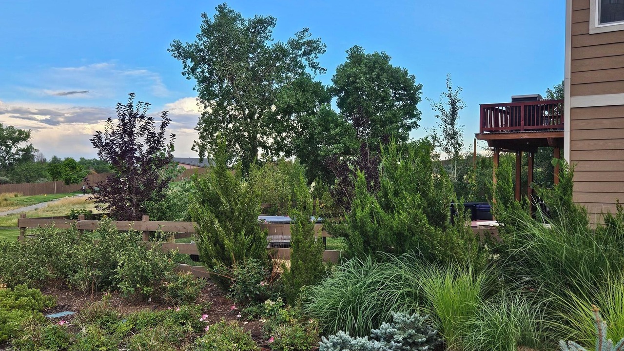 Photo of Outdoor in Golden