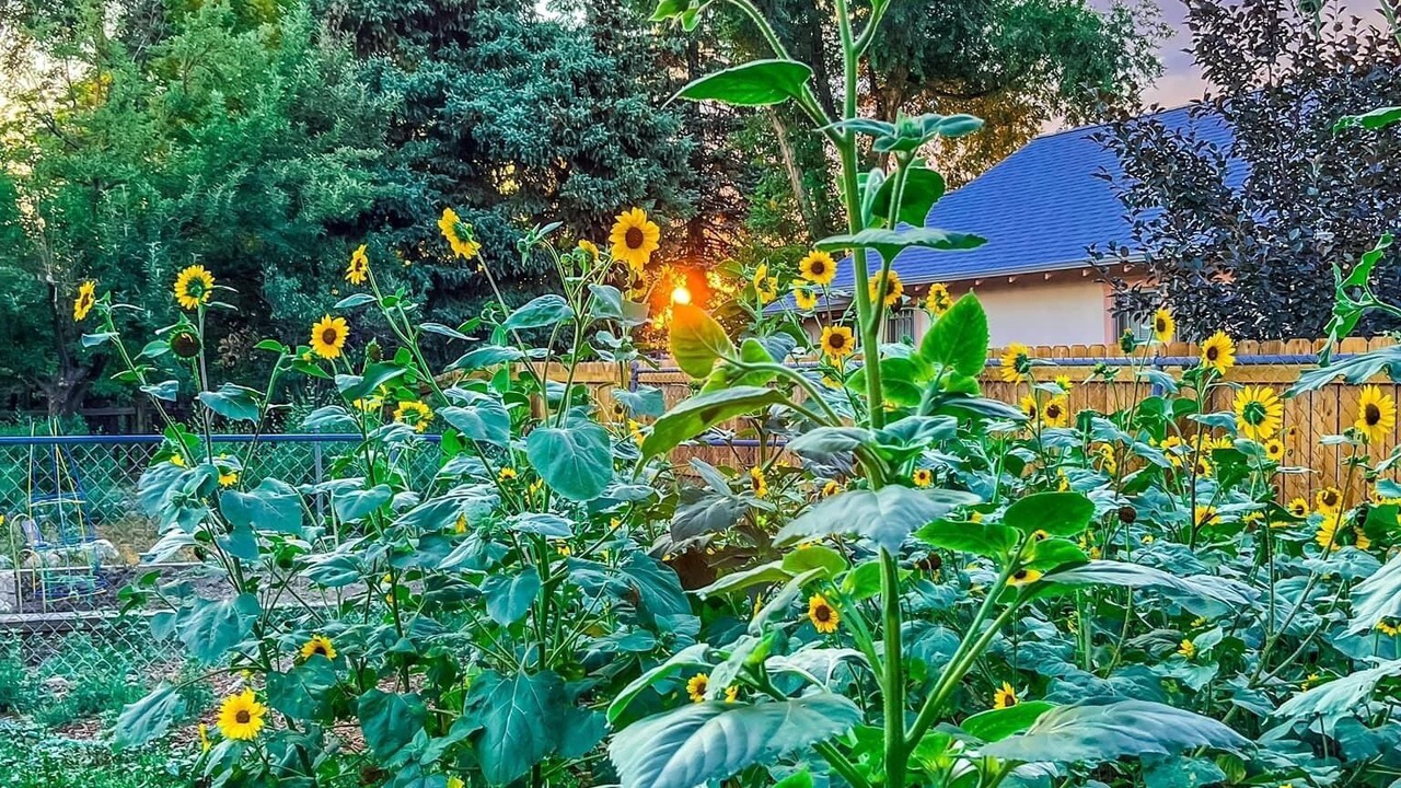 Photo of Outdoor in Berkeley