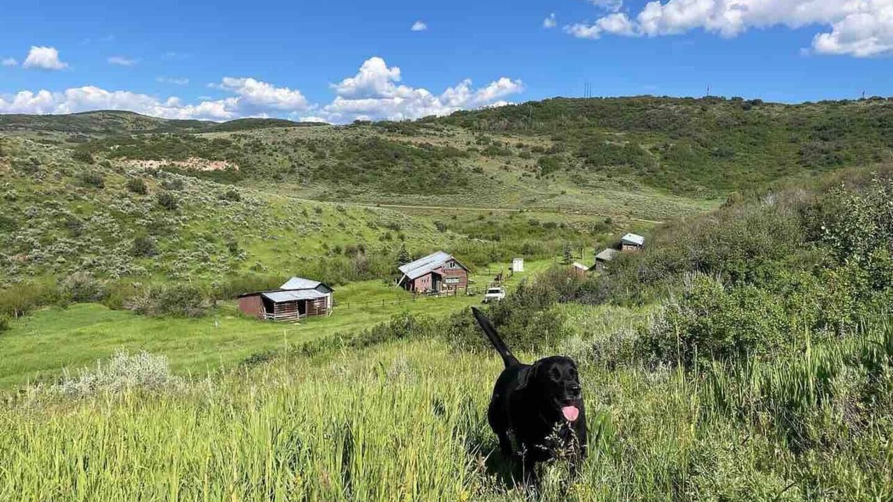 Photo of Others in Collbran