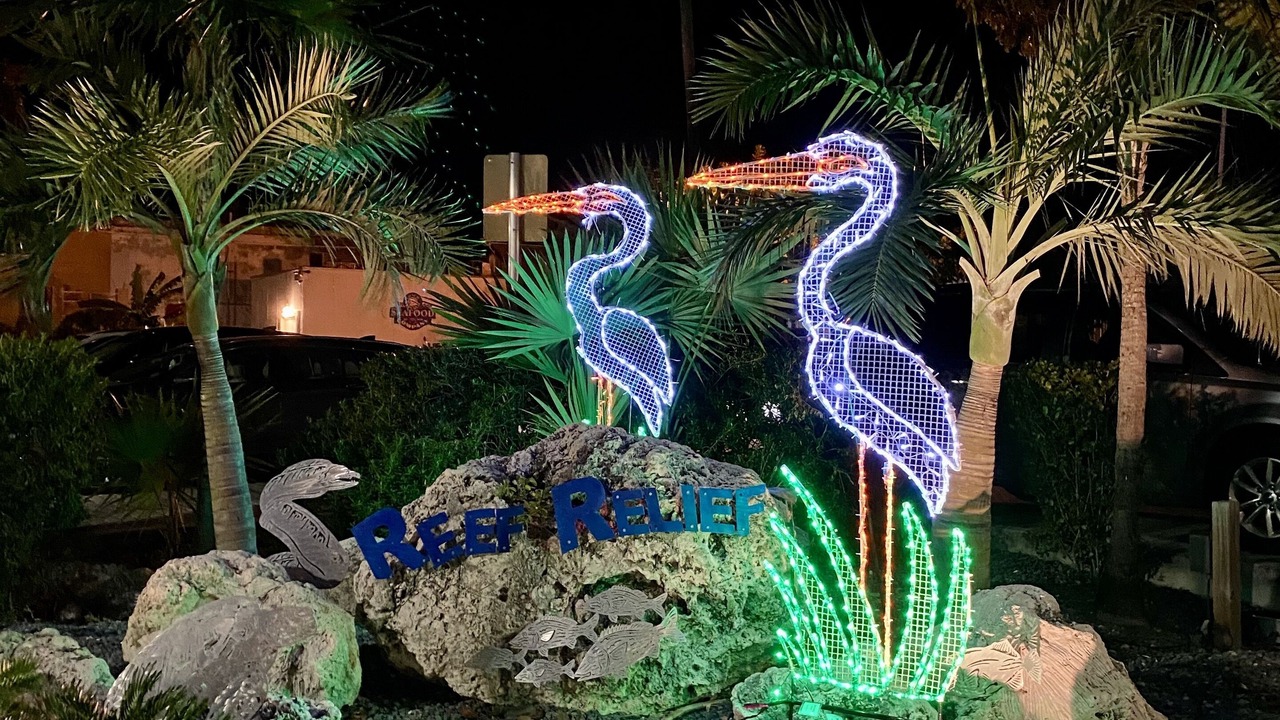 Photo of Outdoor in Key West