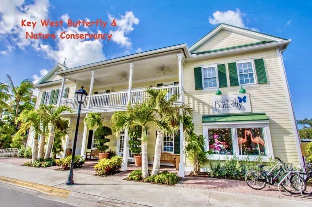 Photo of Outdoor in Key West