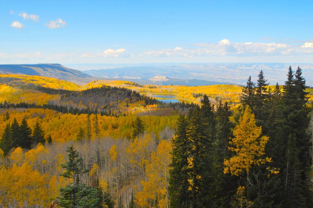 Photo of Outdoor in Collbran