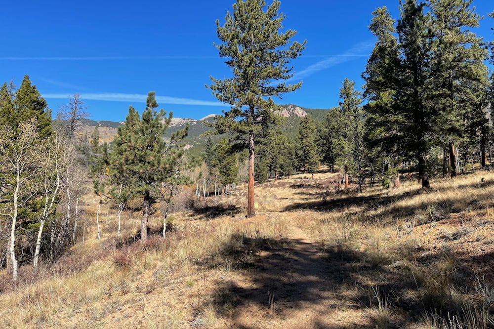 Photo of Outdoor in Bailey