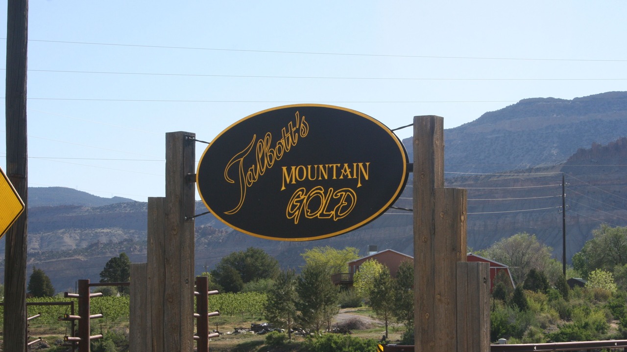 Photo of Others in Palisade