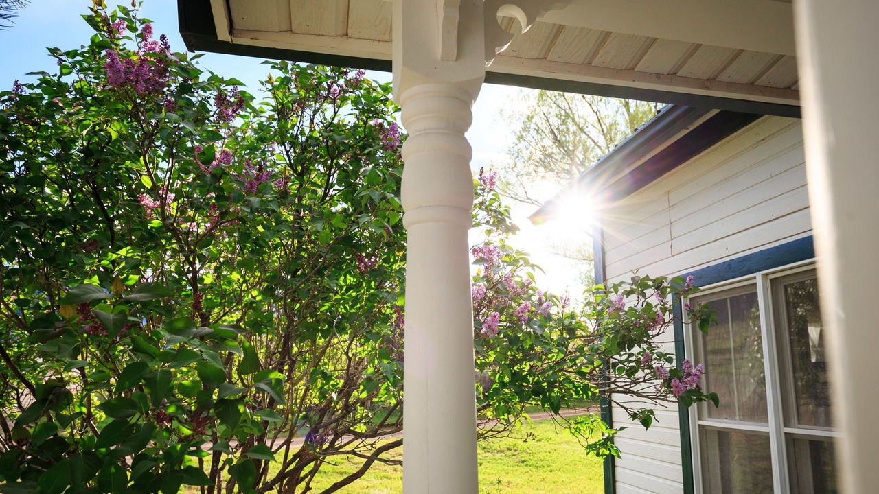 Photo of Outdoor in Hillside