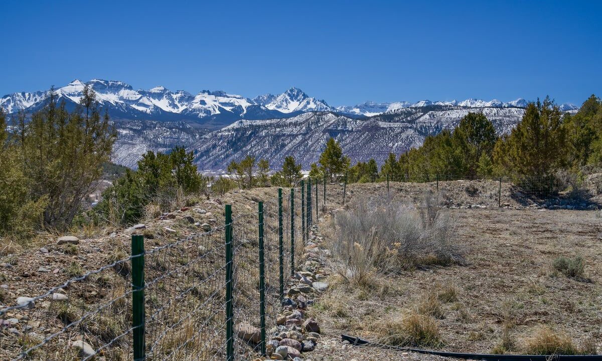 Photo of Outdoor in Ridgway