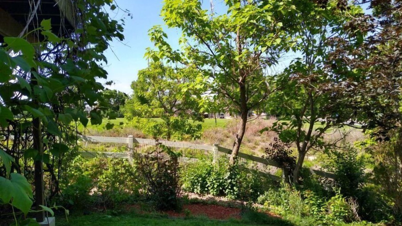 Photo of Outdoor in Thornton
