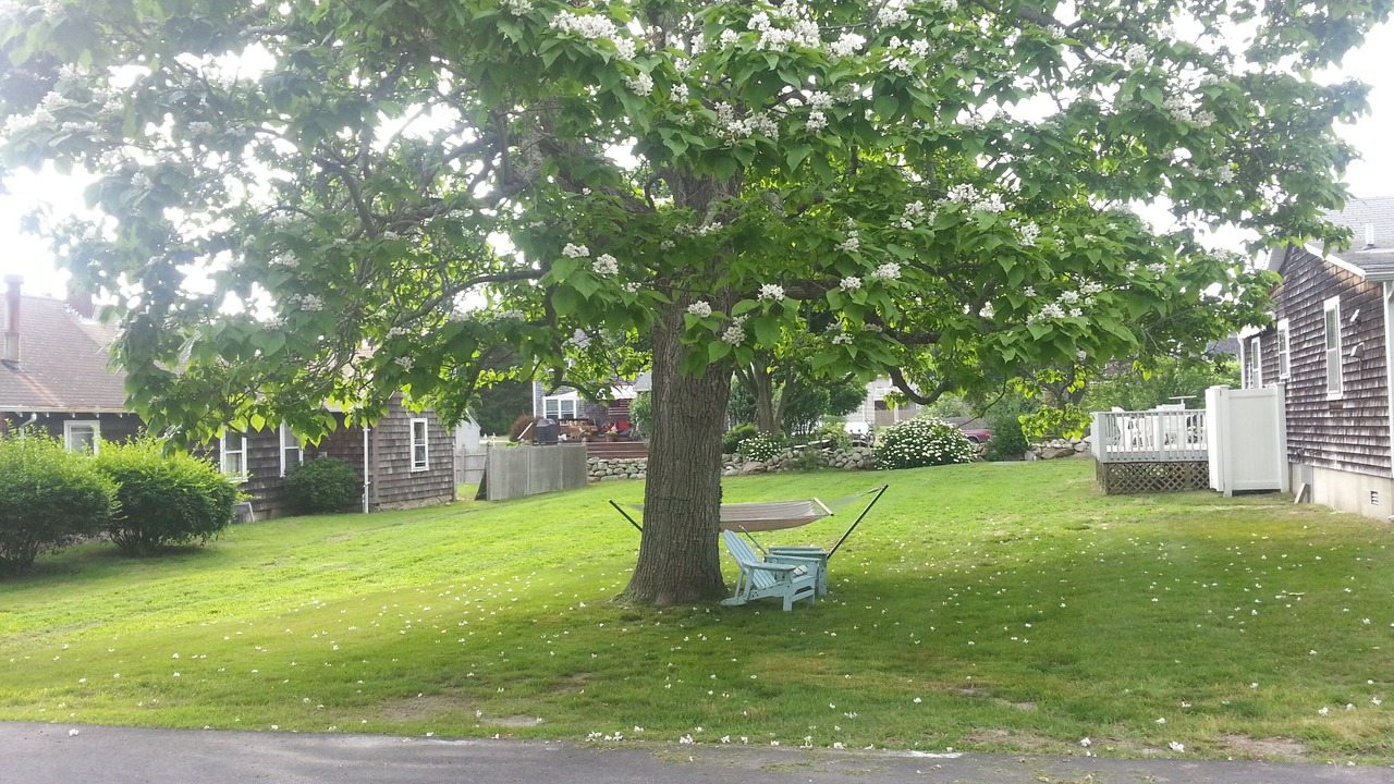 Photo of Outdoor in Snug Harbor