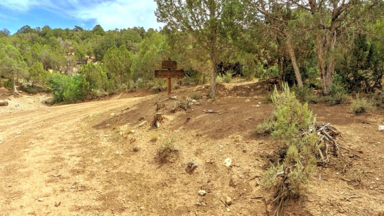 Photo of Others in Glenwood Springs