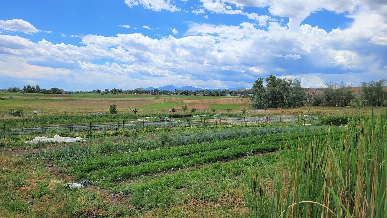 Photo of Outdoor in Longmont