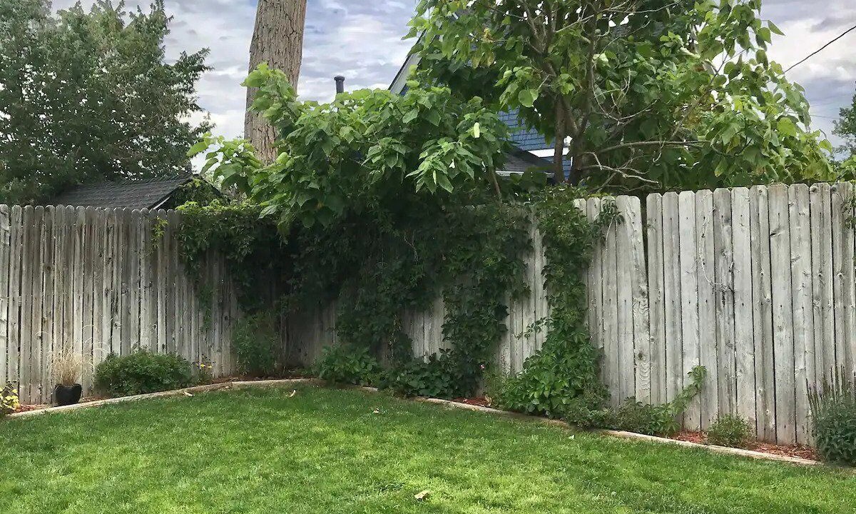 Photo of Outdoor in South Alameda
