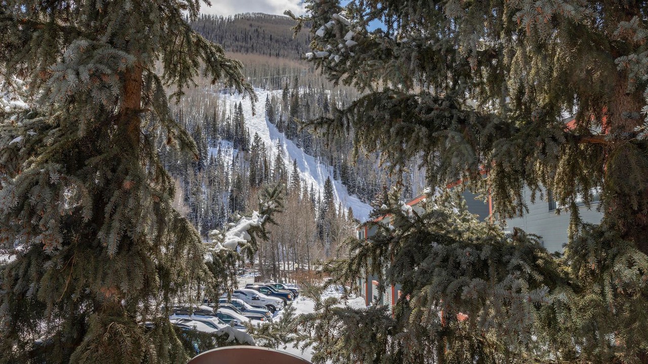 Photo of Others in Telluride