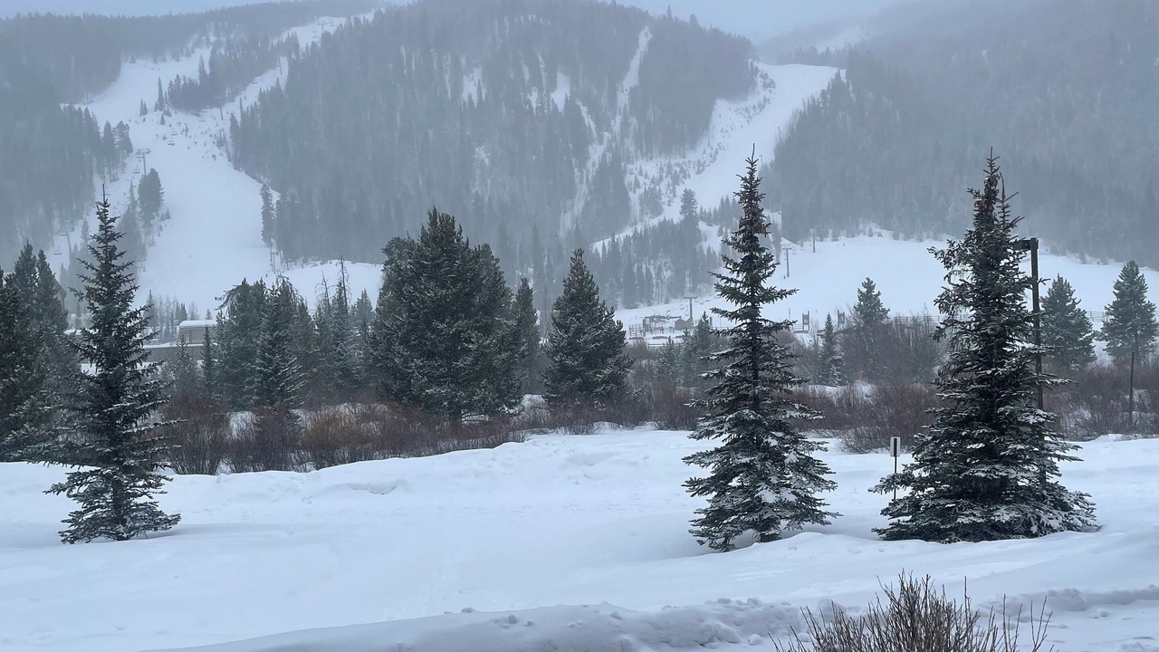 Photo of Others in Mountain House