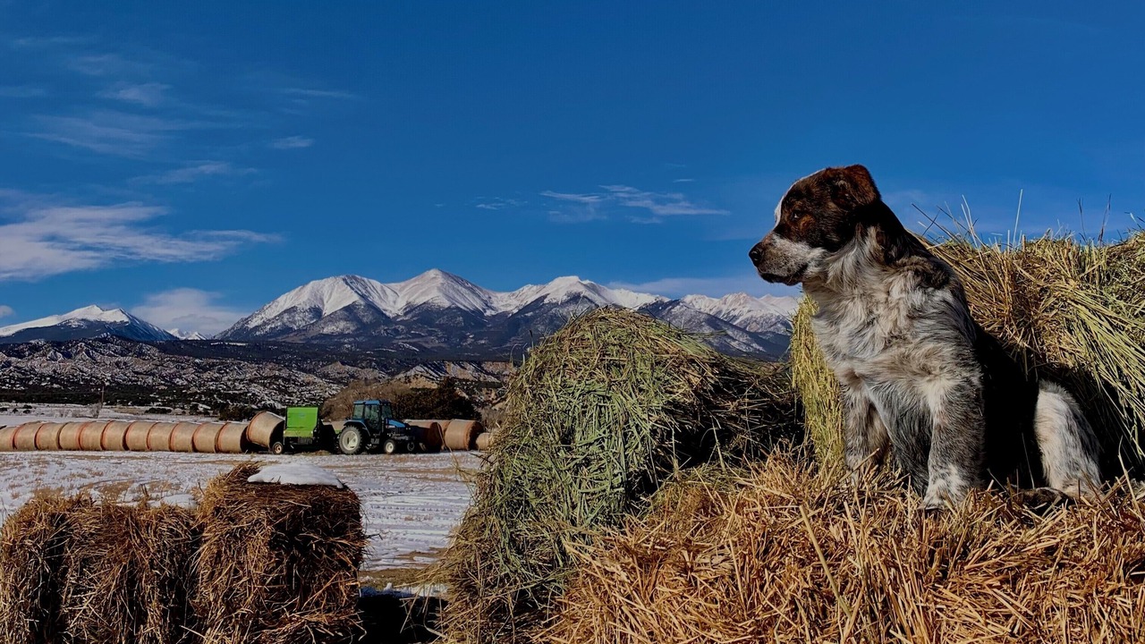 Photo of Others in Salida
