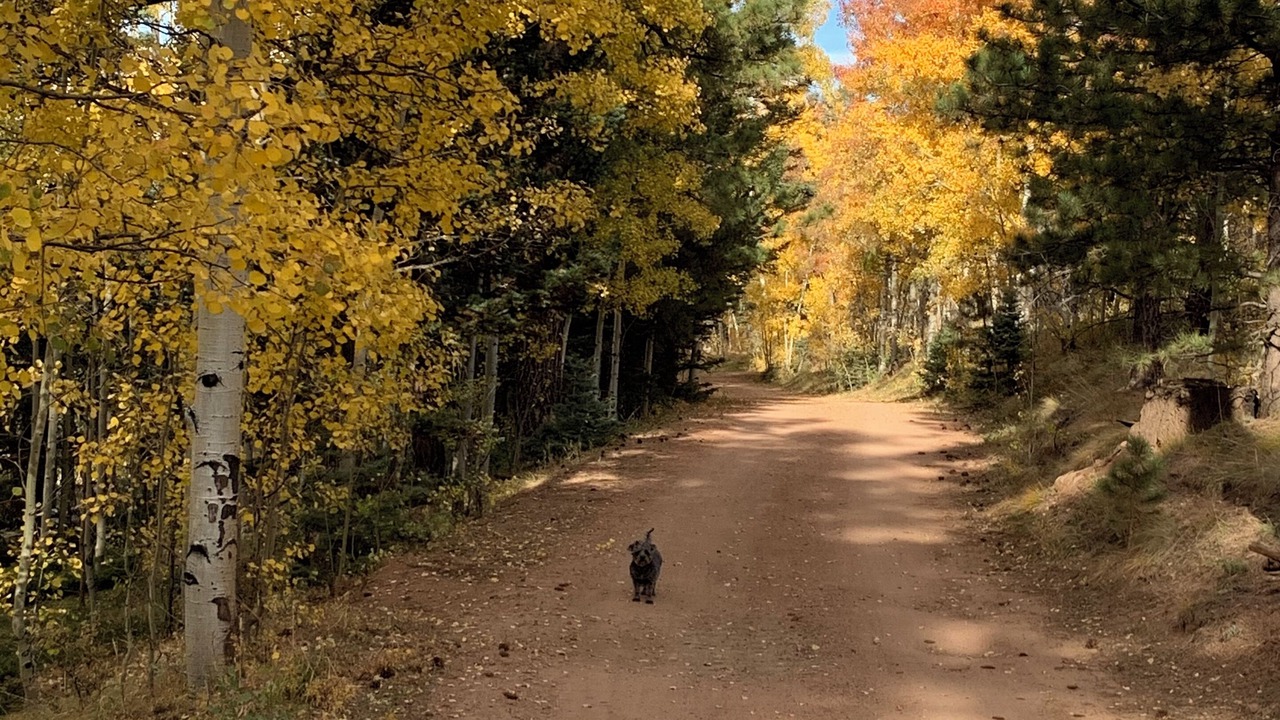 Photo of Others in Custer County