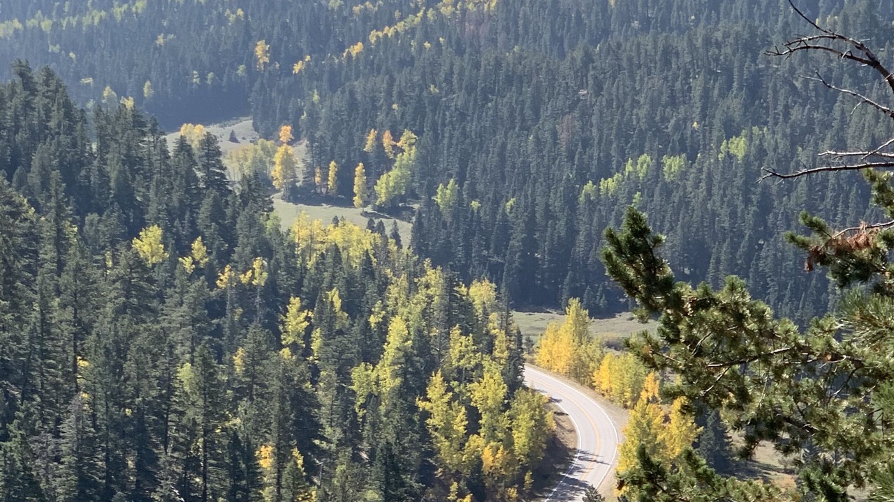 Photo of Others in Custer County