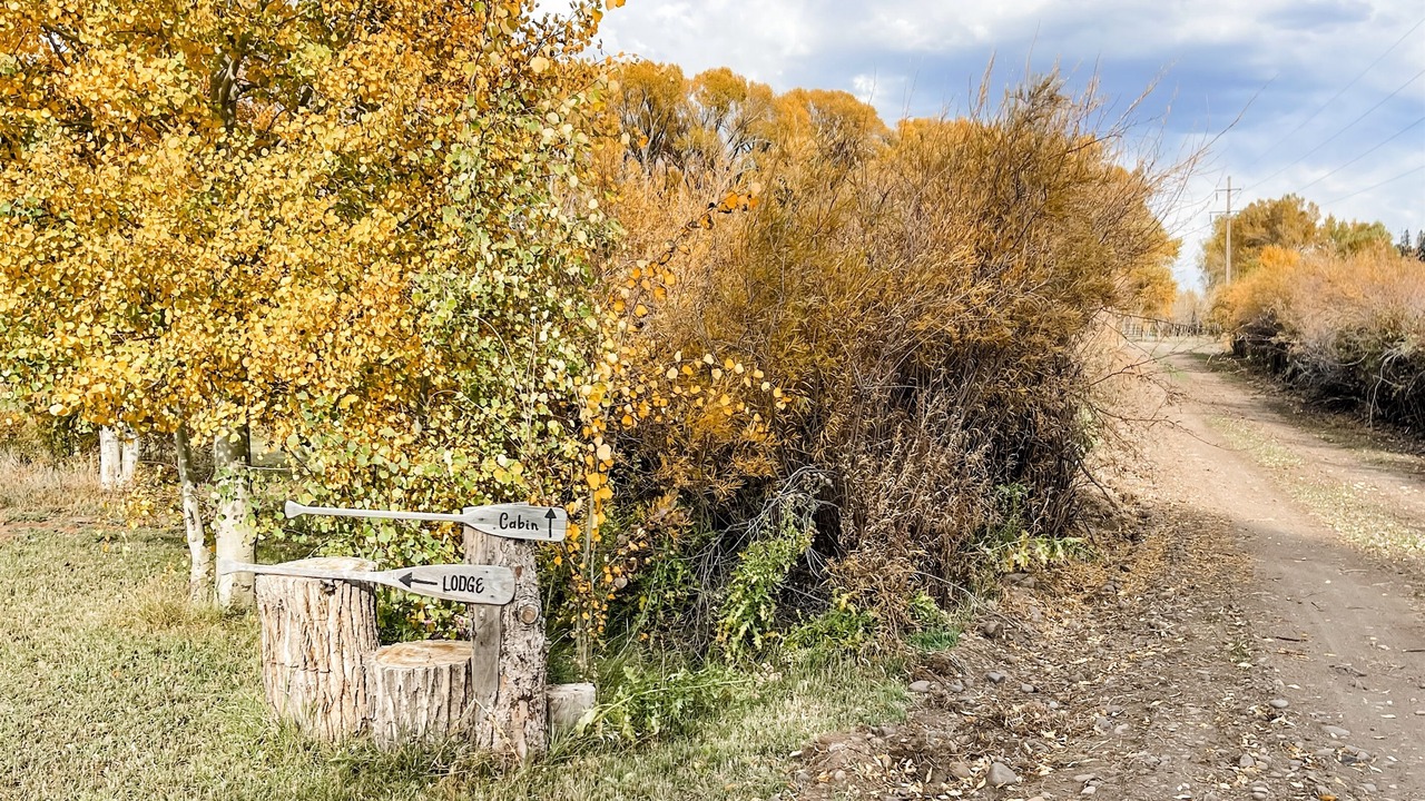 Photo of Others in South Fork
