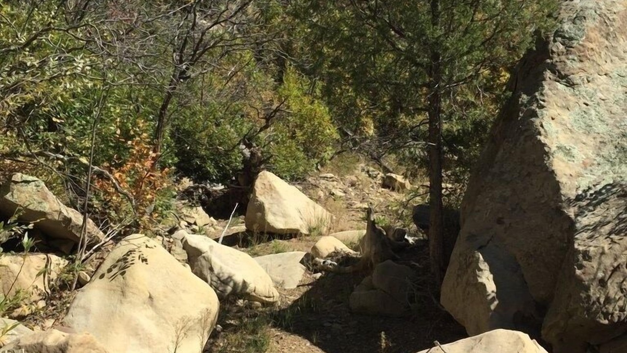 Photo of Others in Raton
