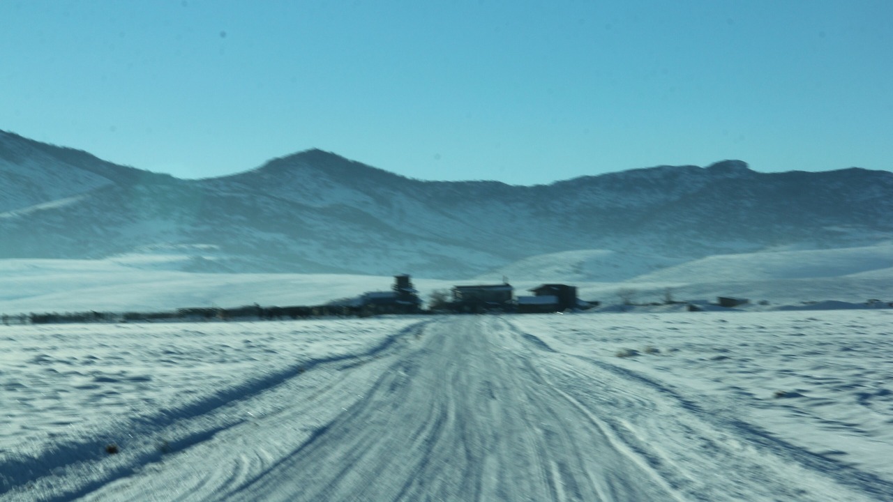 Photo of Others in Capulin