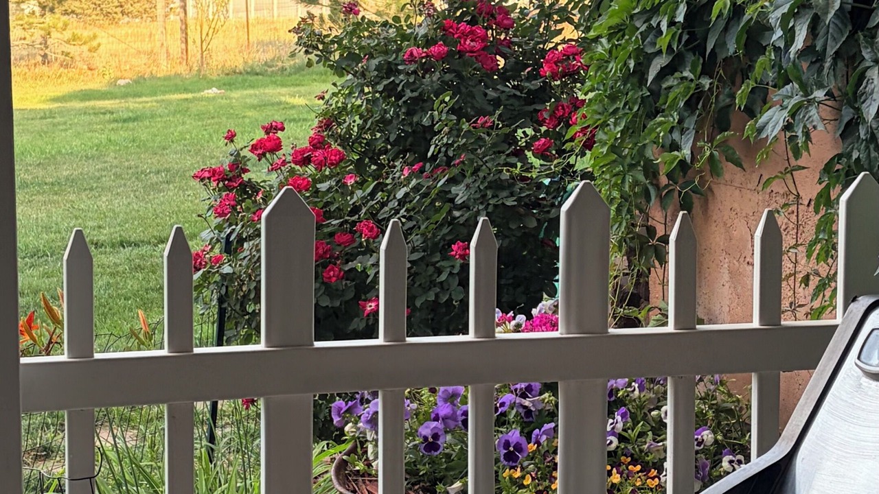 Photo of Outdoor in Centennial