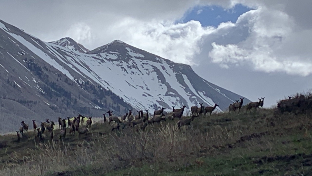 Photo of Others in Telluride