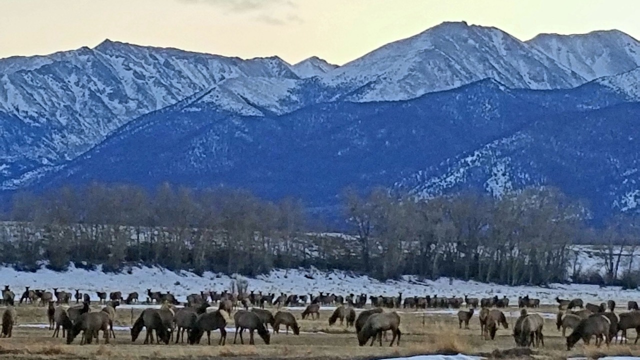 Photo of Others in Nathrop