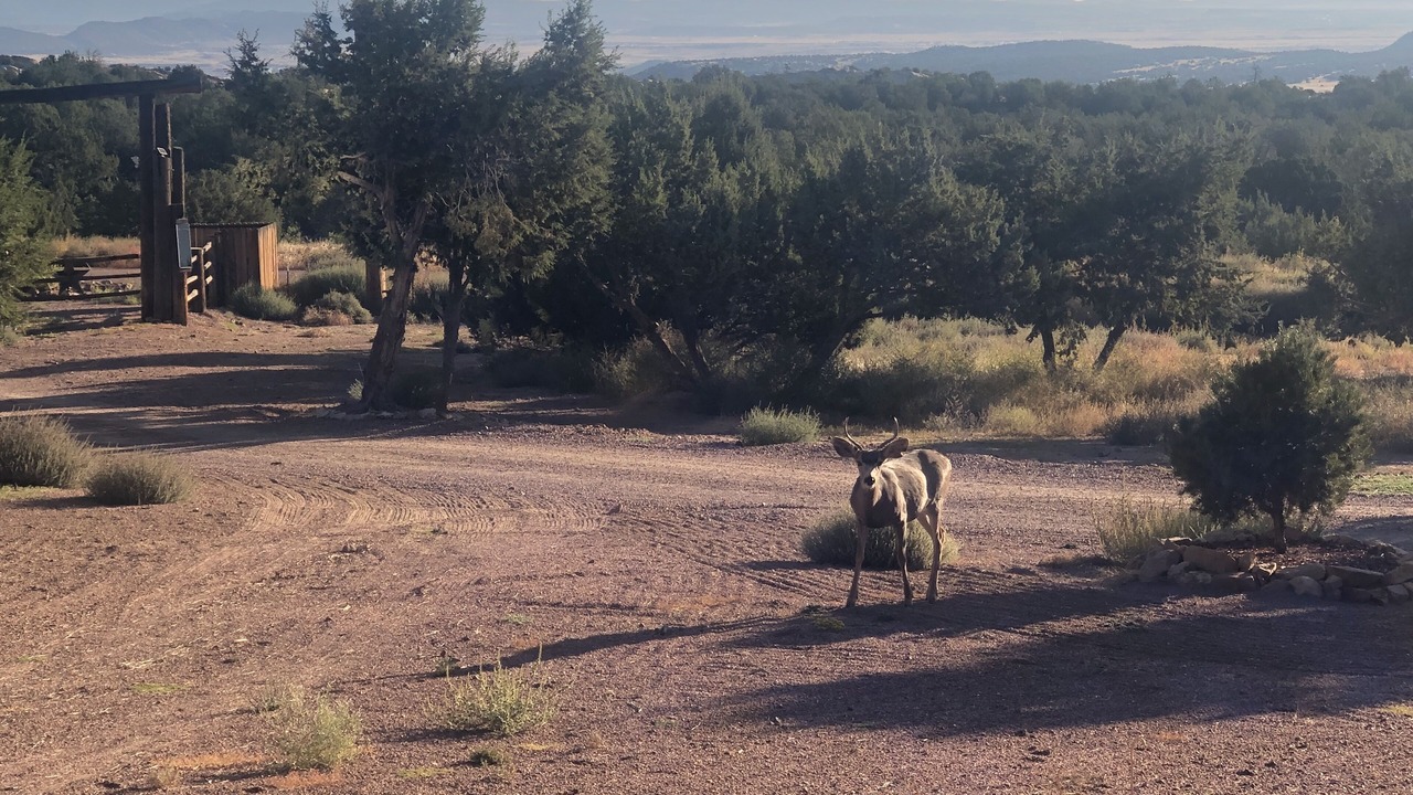 Photo of Others in Canon City