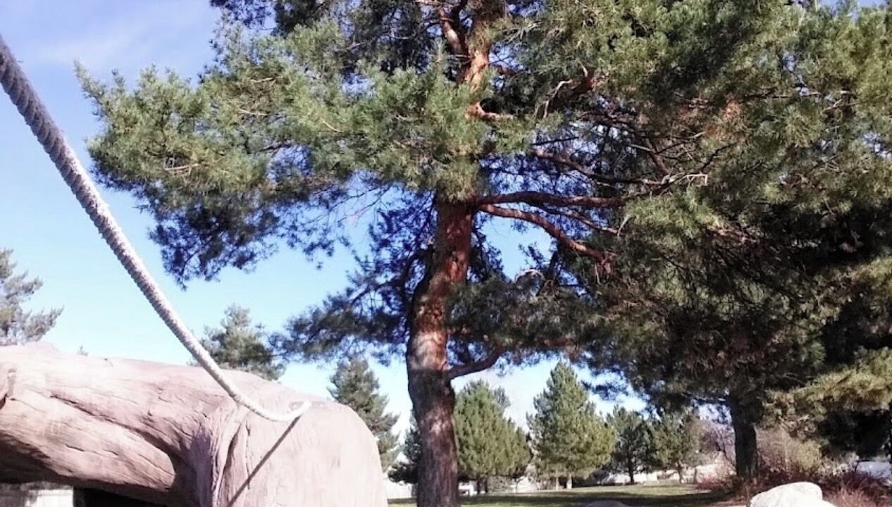 Photo of Others in Aurora