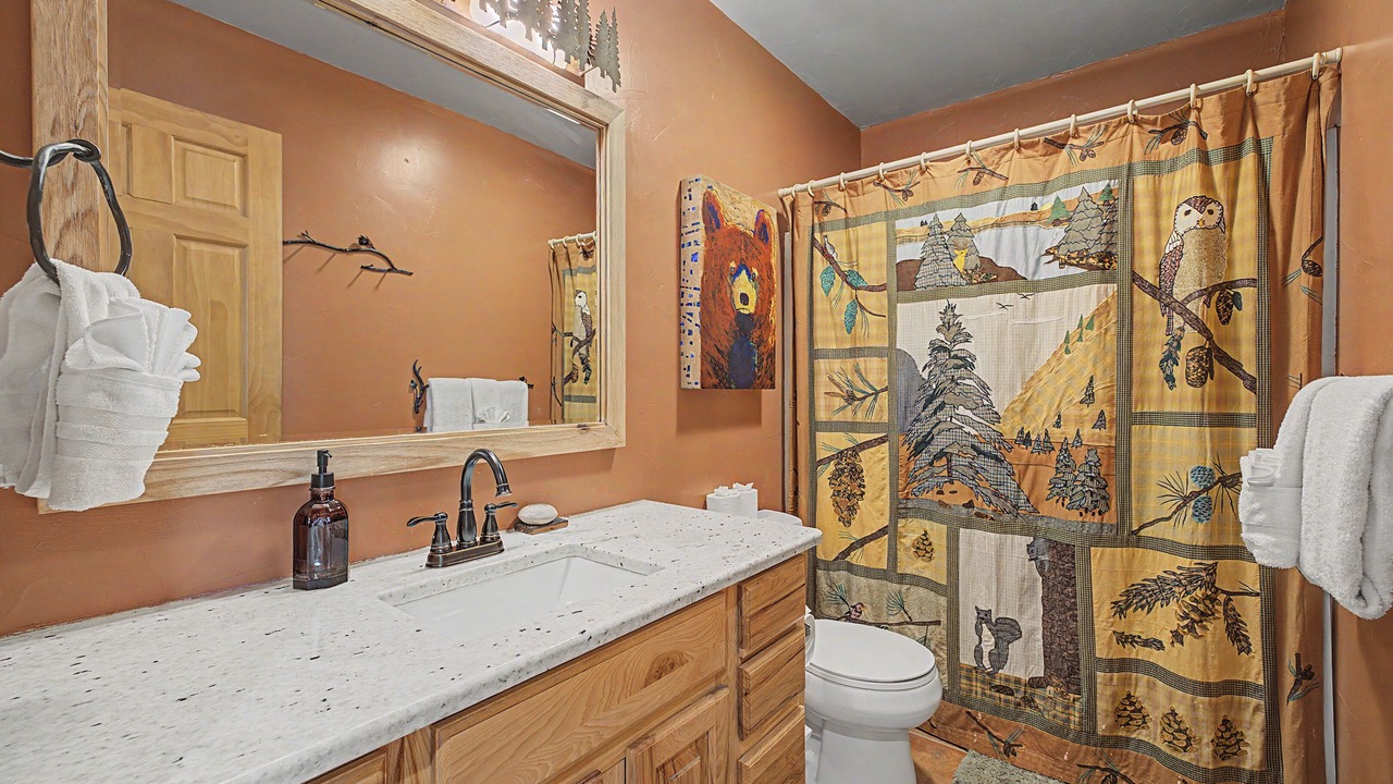 Photo of Bathroom in Fairplay