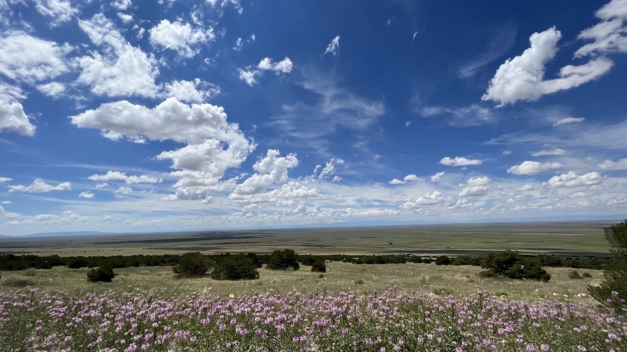 Photo of Others in Fort Garland