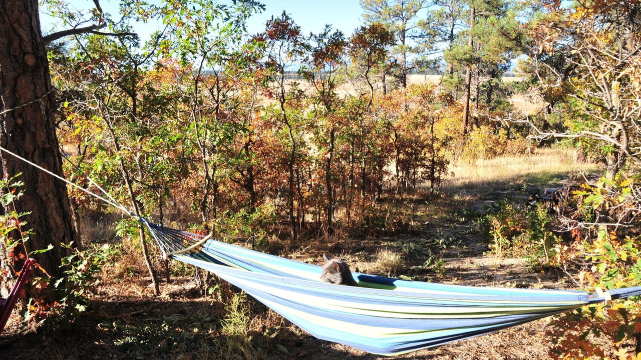 Photo of Outdoor in Larkspur