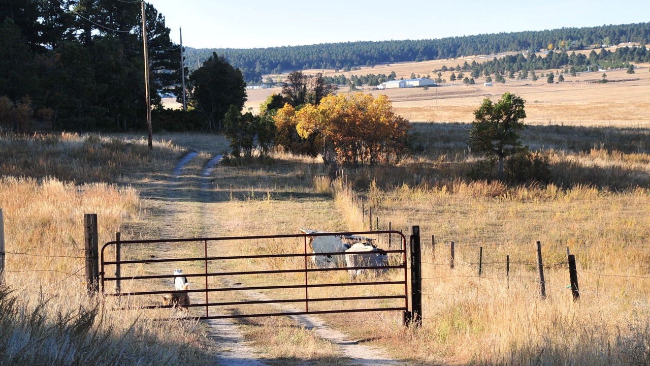 Photo of Others in Larkspur