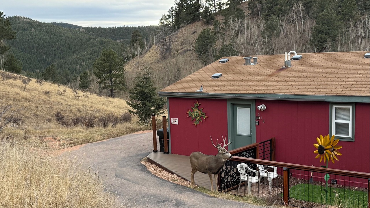 Photo of Outdoor in Rainbow Valley