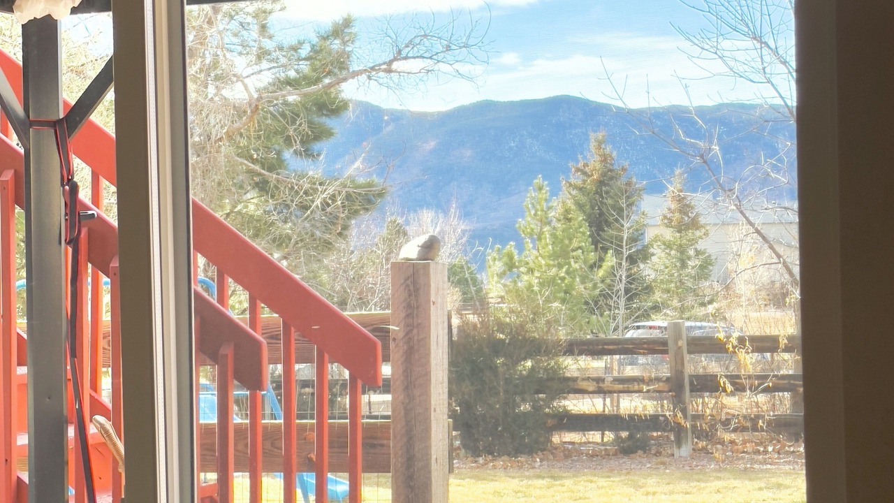 Photo of Others in Gleneagle
