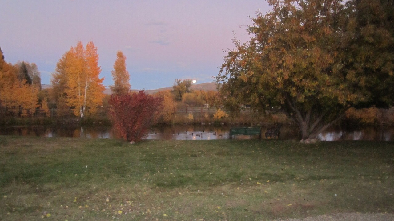 Photo of Outdoor in Gunnison