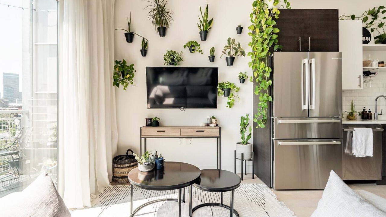 Photo of Livingroom in Curtis Park