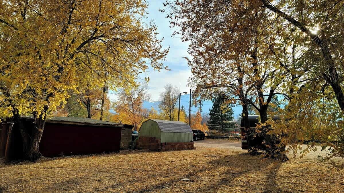 Photo of Others in Golden