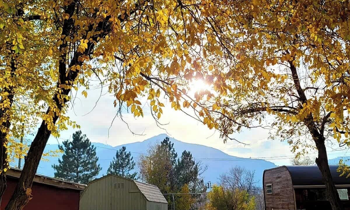 Photo of Others in Golden