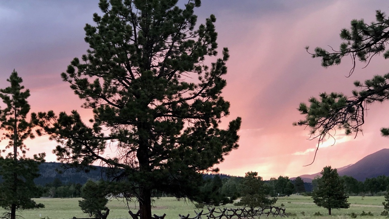 Photo of Outdoor in Buena Vista
