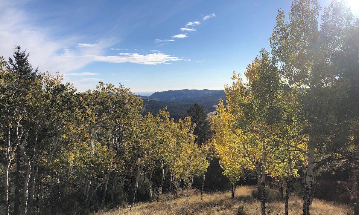 Photo of Others in Evergreen