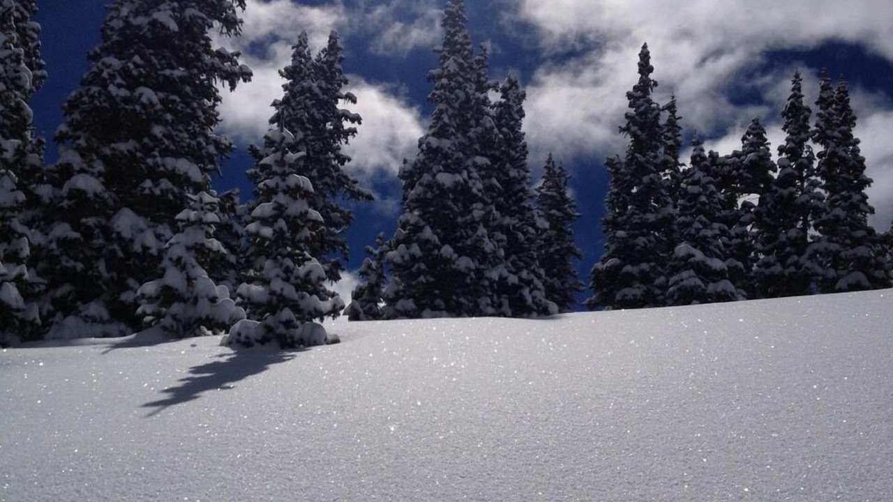 Photo of Others in Evergreen