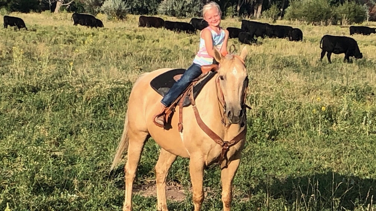 Photo of Others in Walsenburg