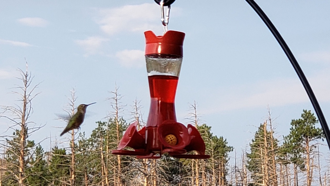 Photo of Others in Teller County