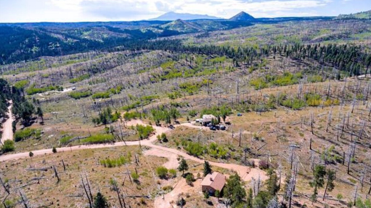Photo of Others in Teller County