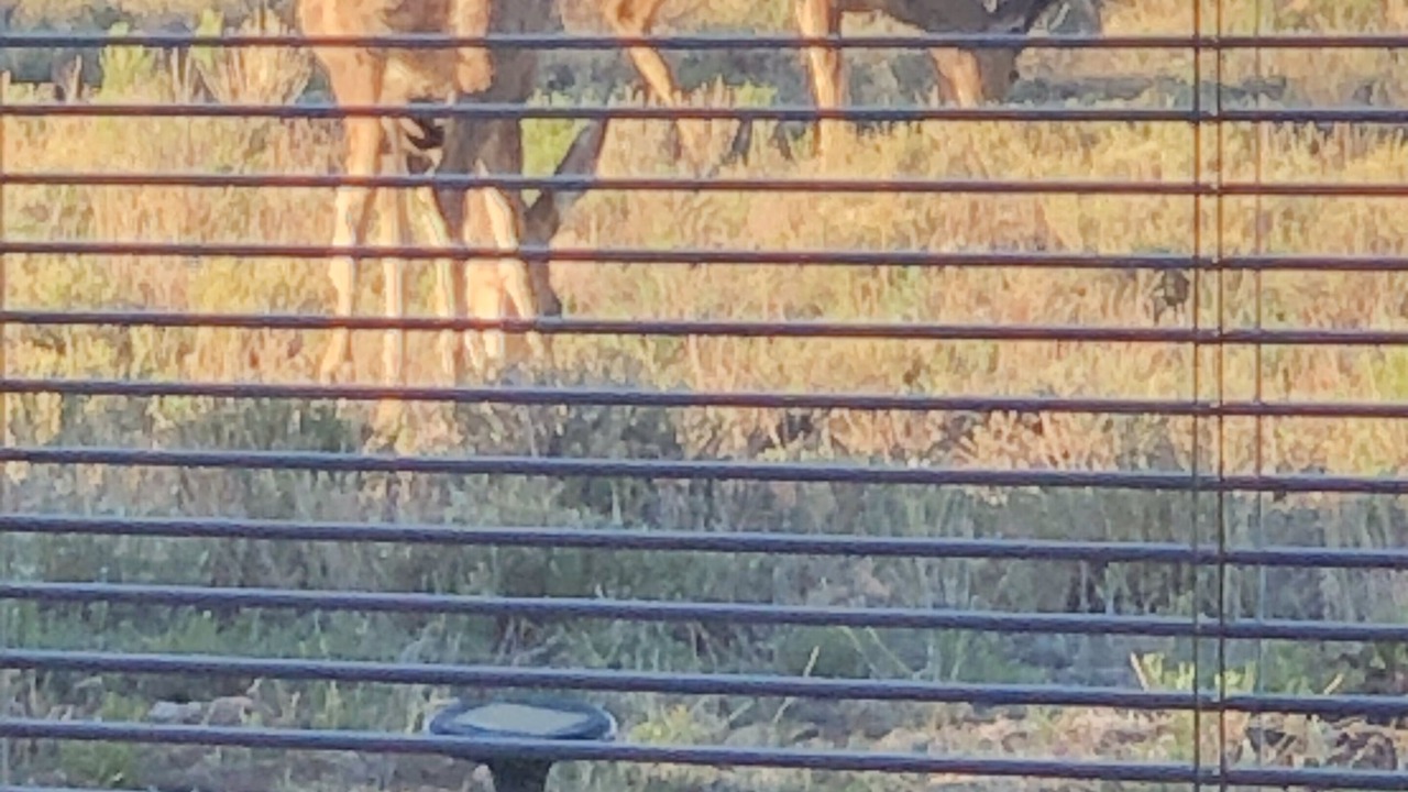 Photo of Others in Westcliffe