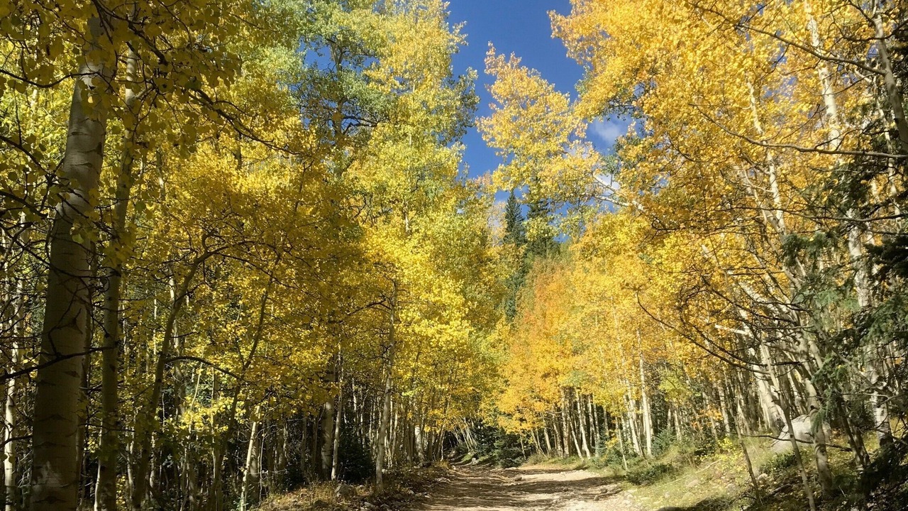 Photo of Outdoor in Salida