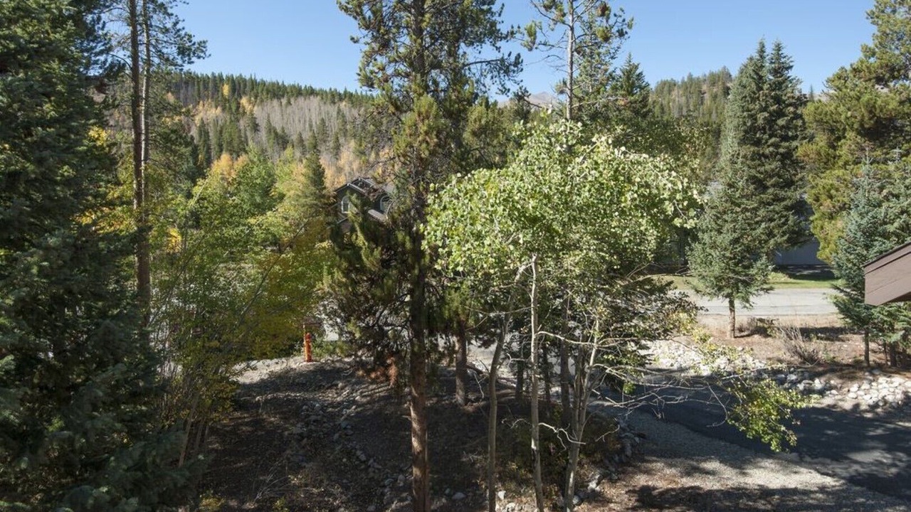 Photo of Others in Baldy Mountain