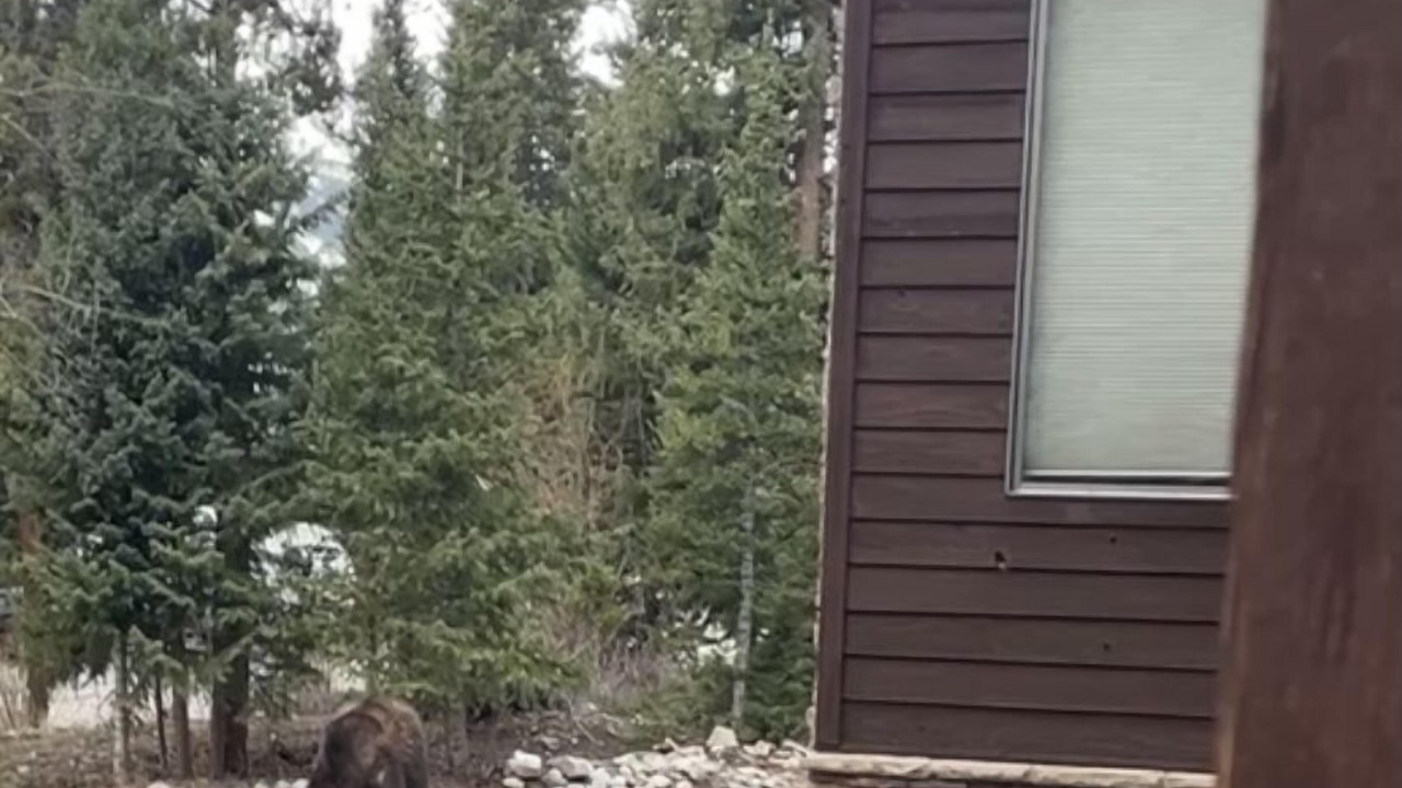 Photo of Others in Baldy Mountain