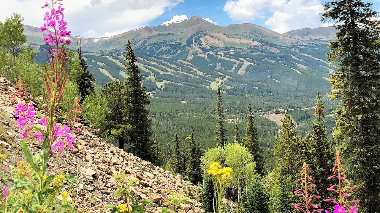Photo of Outdoor in Blue River